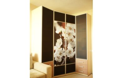 Угловой распашной двухстворчатый шкаф для подростка