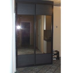 2 дверный шкаф купе с зеркалами в прихожую