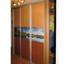 Корпусный шкаф купе в коридор