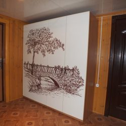 Распашной шкаф в прихожую с фотопечатью