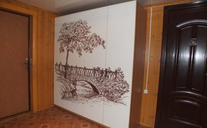 Распашной шкаф в прихожую с фотопечатью