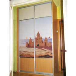 Шкаф купе 2 двери корпусный с фотопечатью