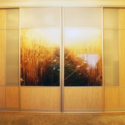 Шкаф купе с фотопечатью и стеклом