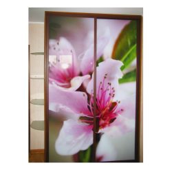 Шкаф купе с фотопечатью и угловыми полками