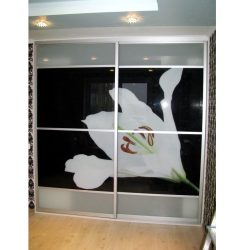 Шкаф купе в гостиную с фотопечатью встраиваемый