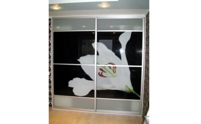 Шкаф купе в гостиную с фотопечатью встраиваемый