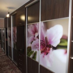 Шкаф купе в прихожую с фотопечатью