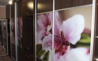 Шкаф купе в прихожую с фотопечатью